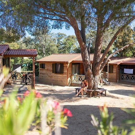 Feriendorf La Mora Calvi  Zewnętrze zdjęcie