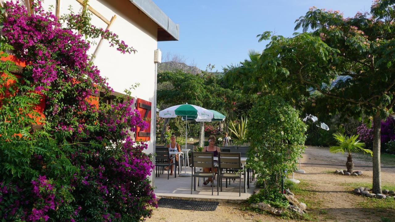 Feriendorf La Mora Calvi  Zewnętrze zdjęcie