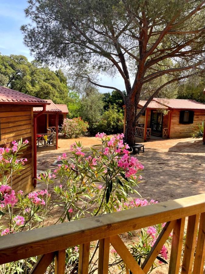 Feriendorf La Mora Calvi  Zewnętrze zdjęcie