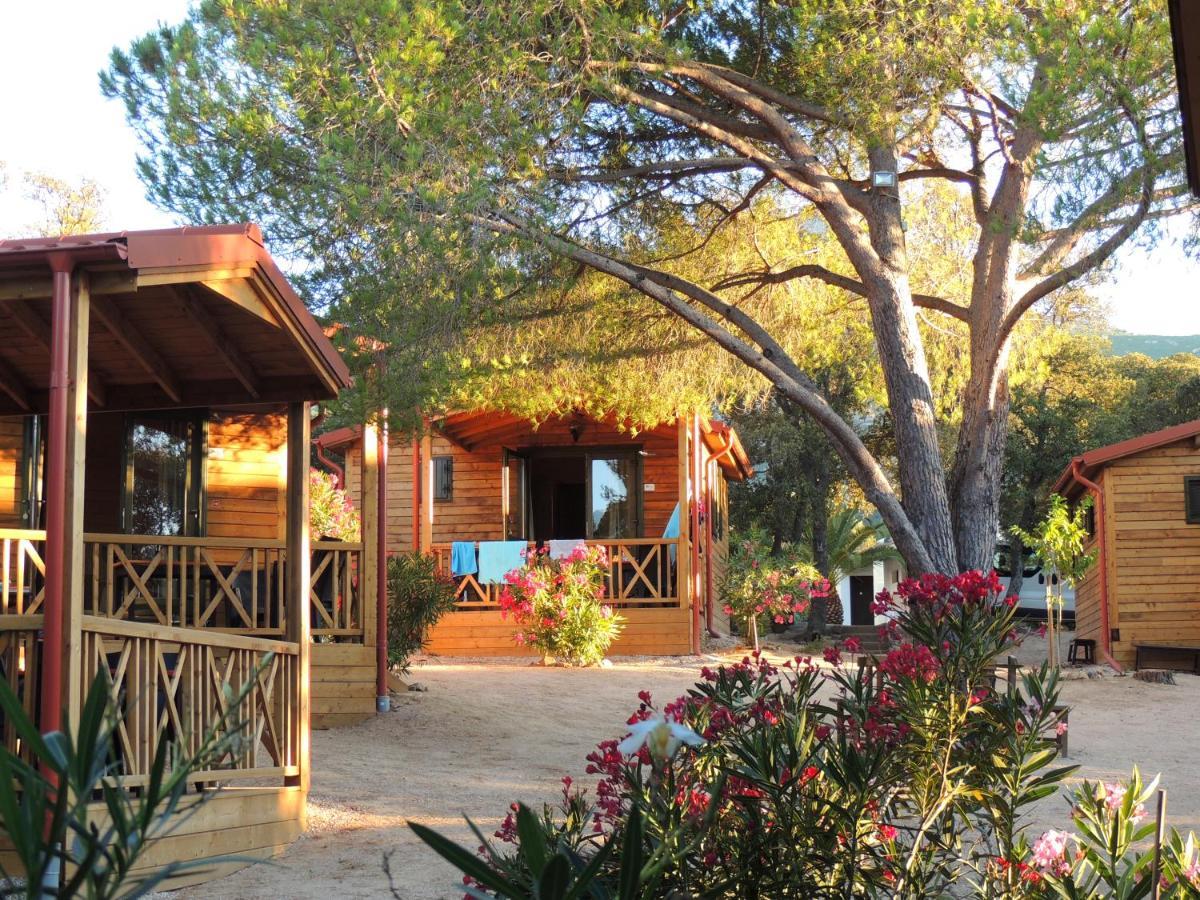 Feriendorf La Mora Calvi  Zewnętrze zdjęcie