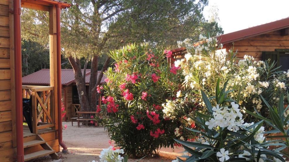 Feriendorf La Mora Calvi  Zewnętrze zdjęcie